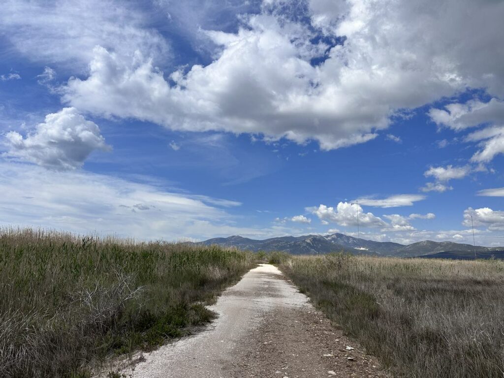 schinias national park trail