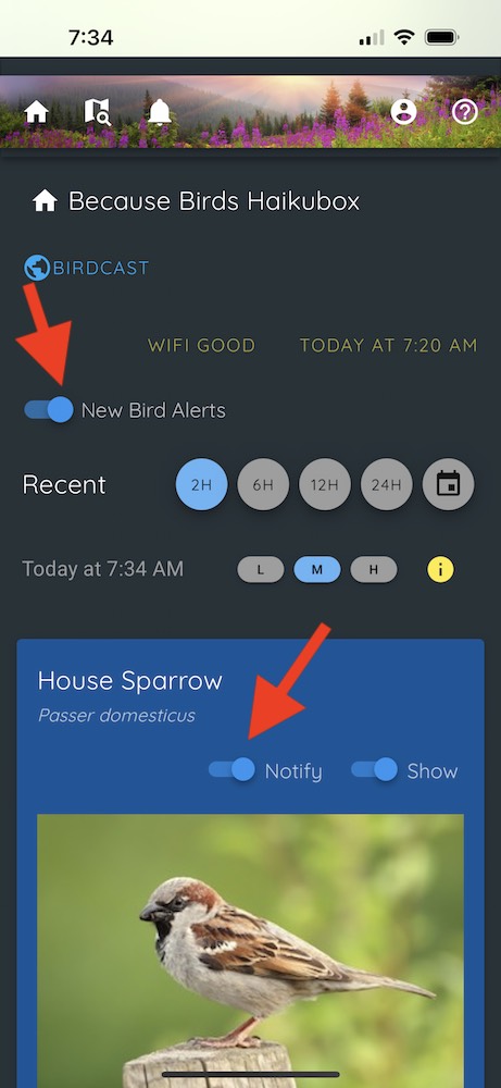 haikubox app turn on notifications