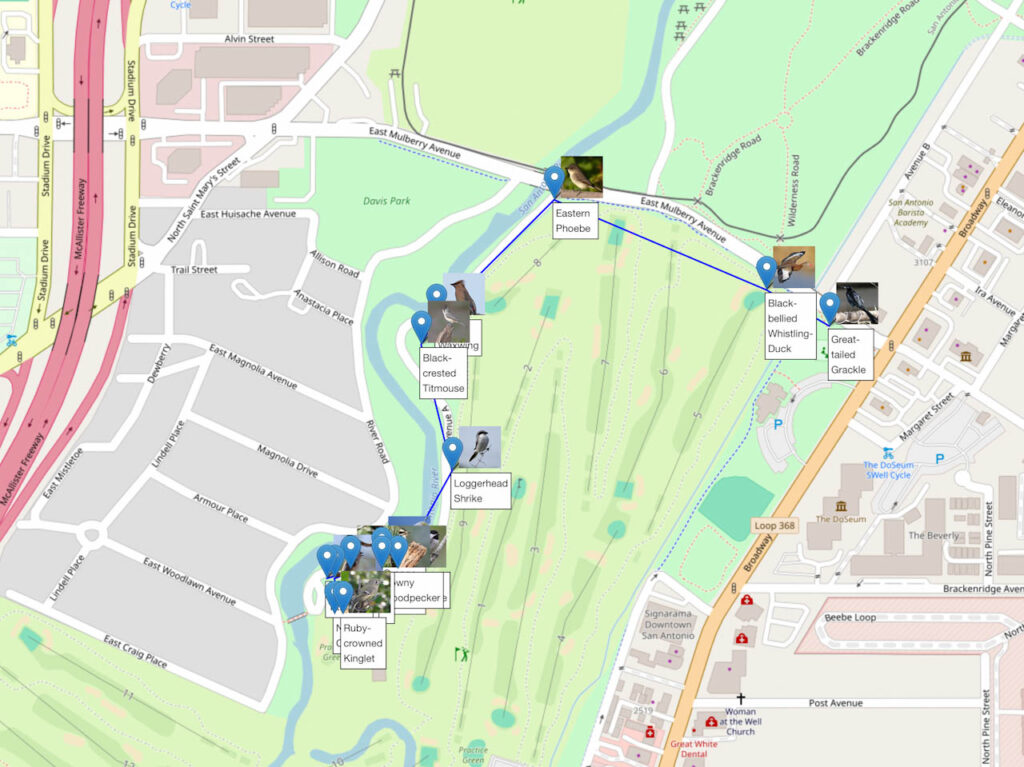 birdweather puc detections plotted on a map