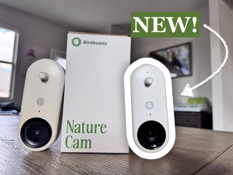 new bird buddy smart feeder camera review and comparison after two years