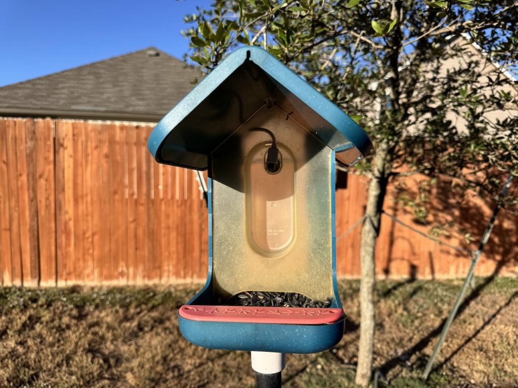 original bird buddy smart bird feeder outside two years later