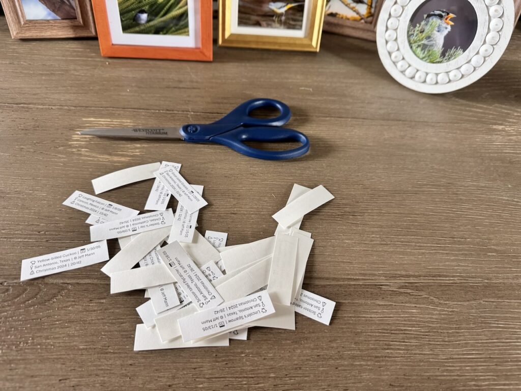  sheet of cut species labels printed on white 8.5 x 11 sticker paper in a small pile on a table surrounded by mini framed bird photos and a pair of scissors