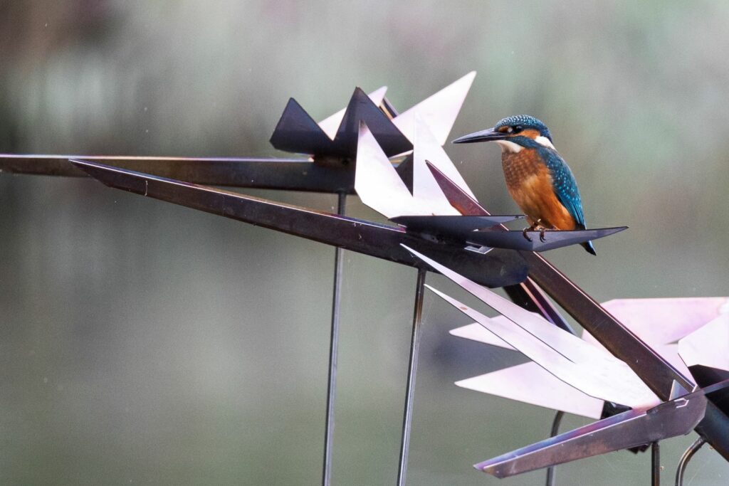 common kingfisher perched facing left on dragonfly metal art sculpture with a muted green blurred background