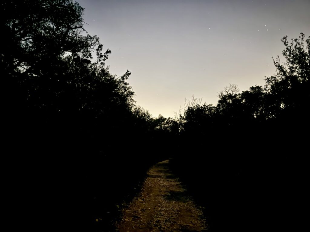 birding at night at government canyon