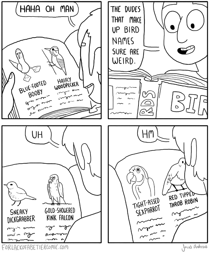 bird_name_comic_jacob_andrews