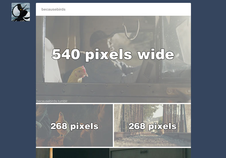 how to make gifs for tumblr