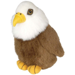 bird-lover-gift-ideas-bald-eagle