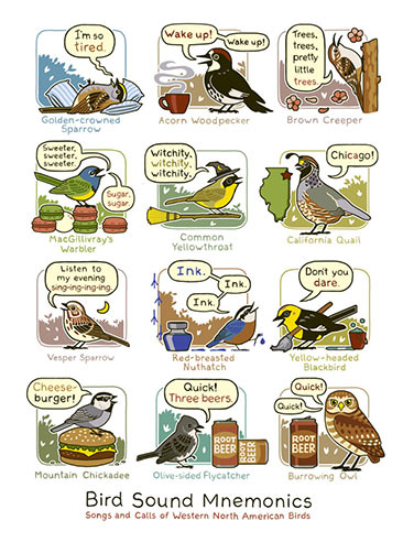 mnemonics bird call poster western north america