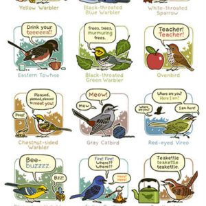 mnemonic bird calls poster eastern north america