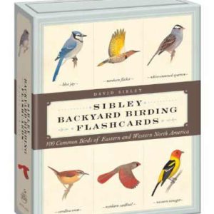 sibley birding flash cards