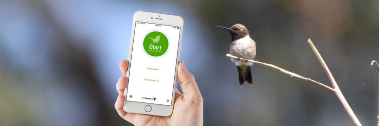 how to record bird sightings using your phone