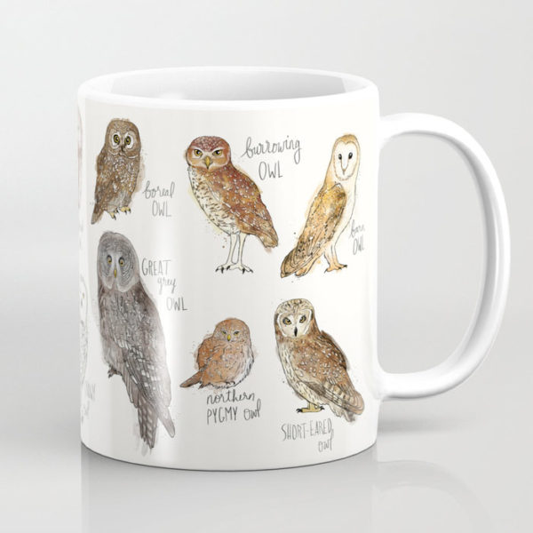 assorted owl mug
