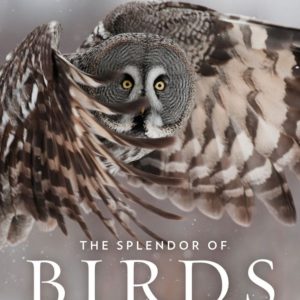 The Splendor of Birds: Art and Photographs From National Geographic book cover