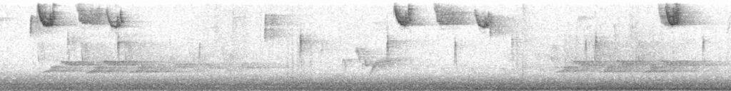 White-throated sparrow spectrogram