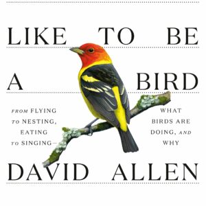 What it’s like to be a bird book
