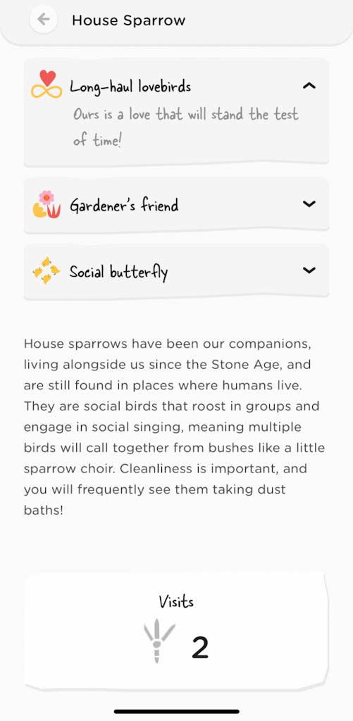 History and facts about house sparrow bird buddy app