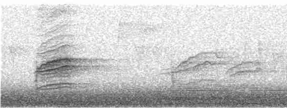 Hermit thrush spectrogram
