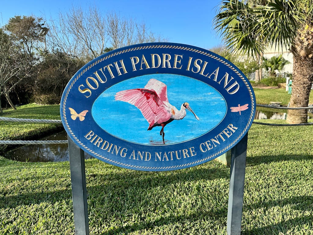 A rare visitor at South Padre Island Birding and Nature Center