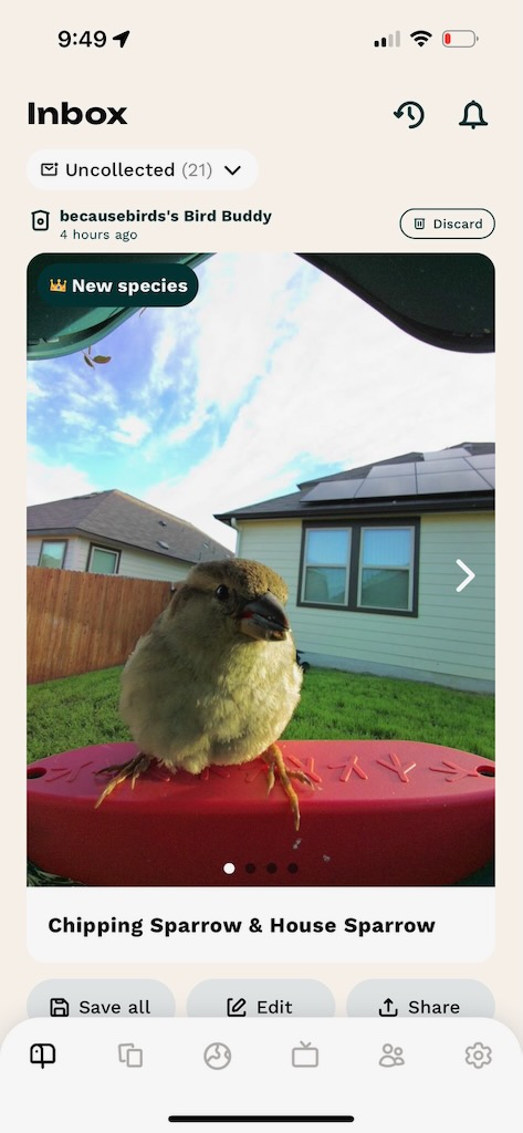 inbox tab of the bird buddy app showing a house sparrow