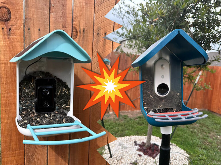 smart bird feeder showdown auxco vs bird buddy