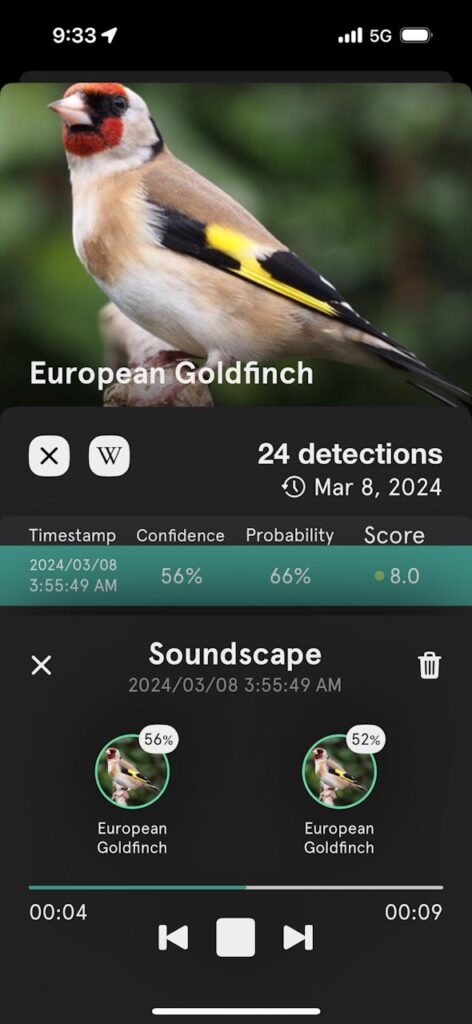 birdweather puc recording clip playback screenshot